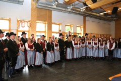 IMG_7410-1